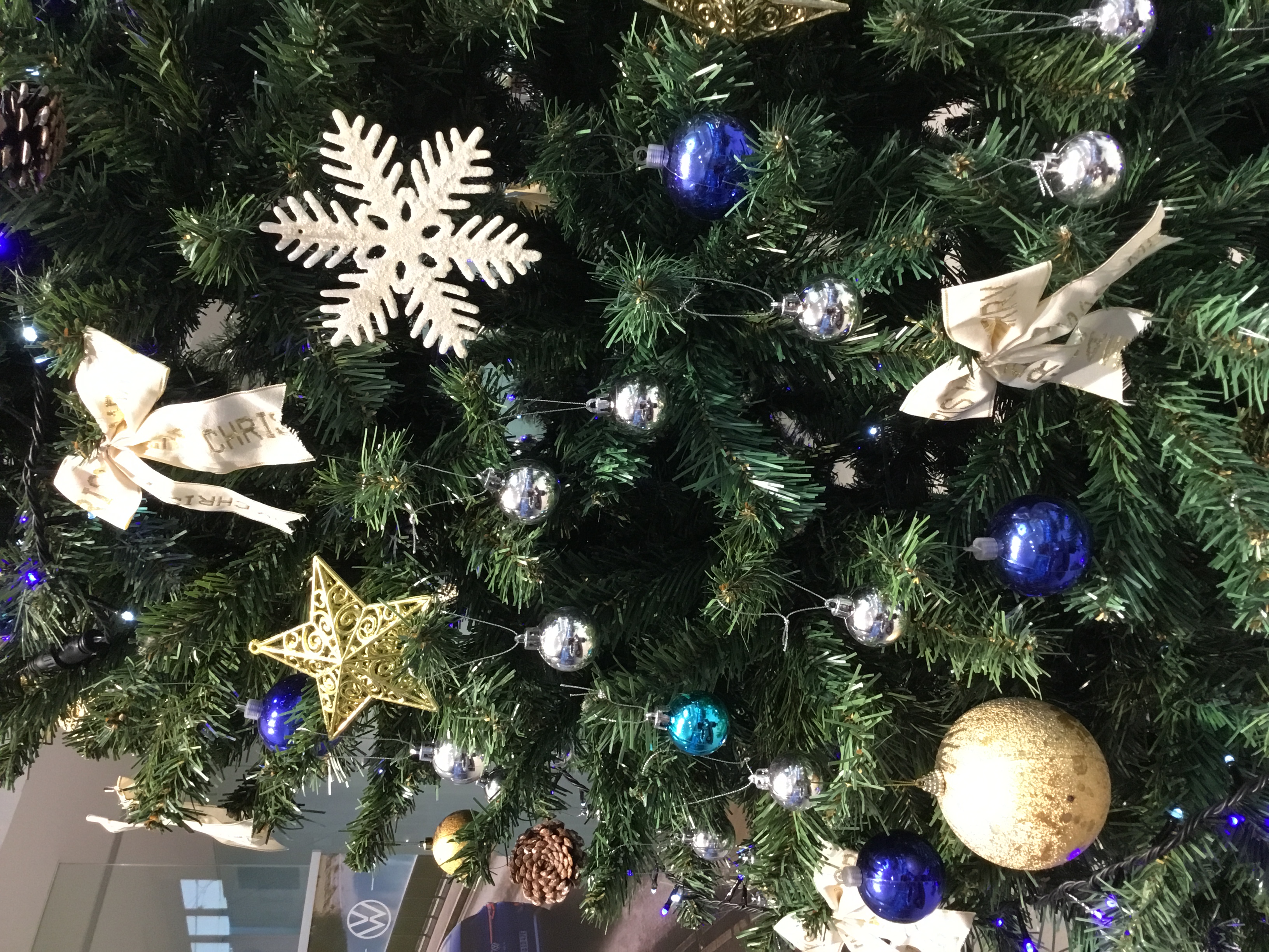 ショールームがクリスマス仕様になりました🎄⛄⭐
